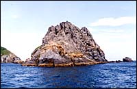 pic23.jpg (15406 bytes)